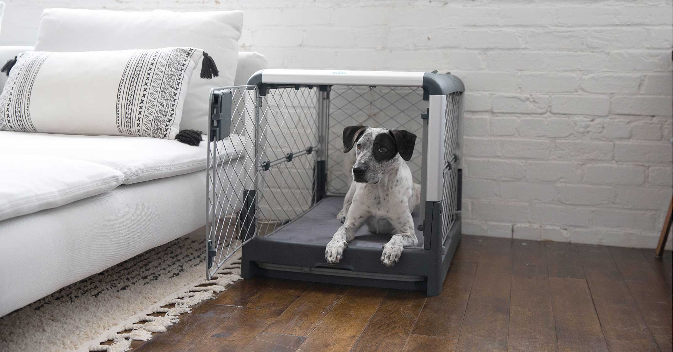 America ByDesign Innovations Diggs Revol Dog Crate